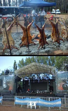activities festivales